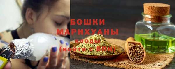 гашик Снежногорск