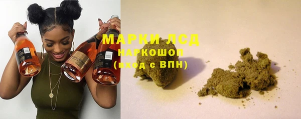 spice Снежинск
