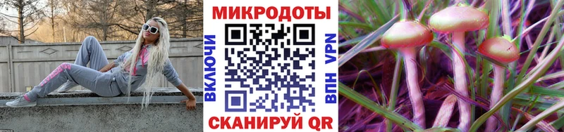 Галлюциногенные грибы прущие грибы  где купить наркоту  мега маркетплейс  Мытищи 