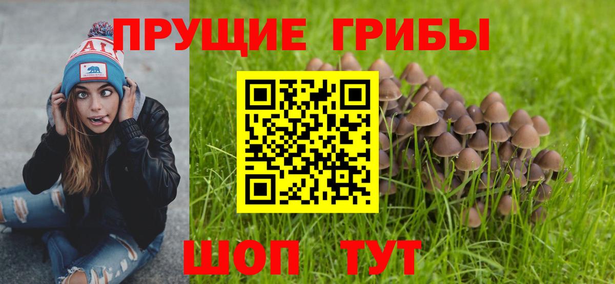 Мытищи  Псилоцибиновые грибы GOLDEN TEACHER  Галлюциногенные грибы мицелий  Вход с VPN 