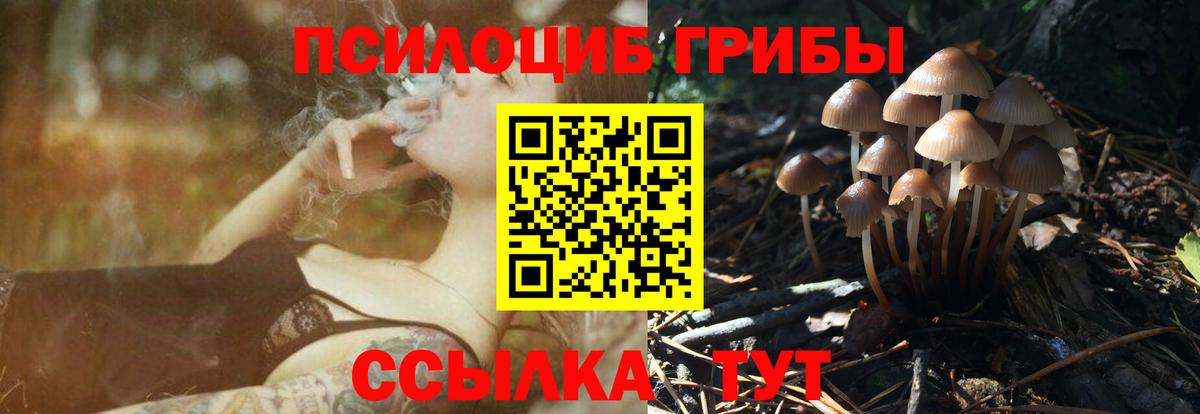 Галлюциногенные грибы GOLDEN TEACHER Мытищи